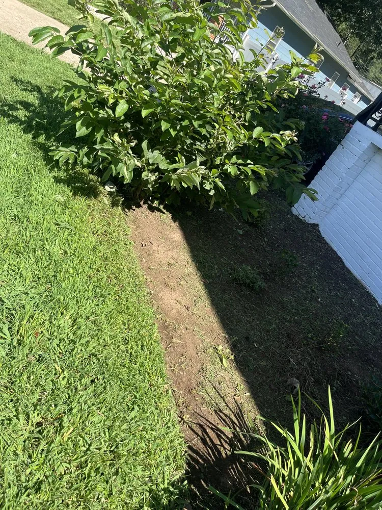 Custom lawn care service in Spartanburg, SC by Agua Escondida Landscaping