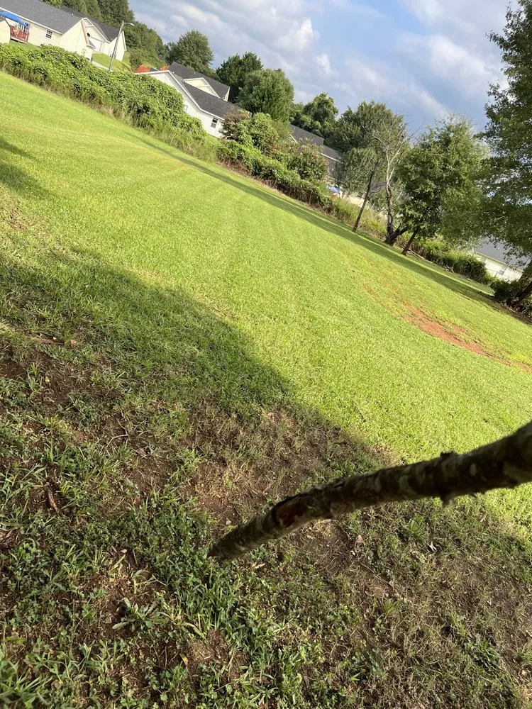 Local yard cleanup service in Spartanburg, SC by Agua Escondida Landscaping