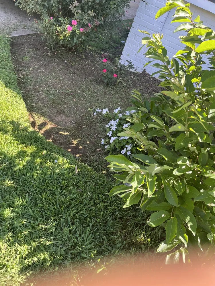 Local lawn care service in Spartanburg, SC by Agua Escondida Landscaping