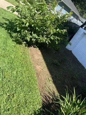 Agua Escondida Landscaping Logo