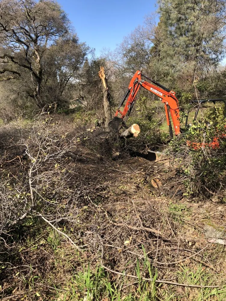 Expert yard cleanup service in Grass Valley, CA - Agua Fria Landscape