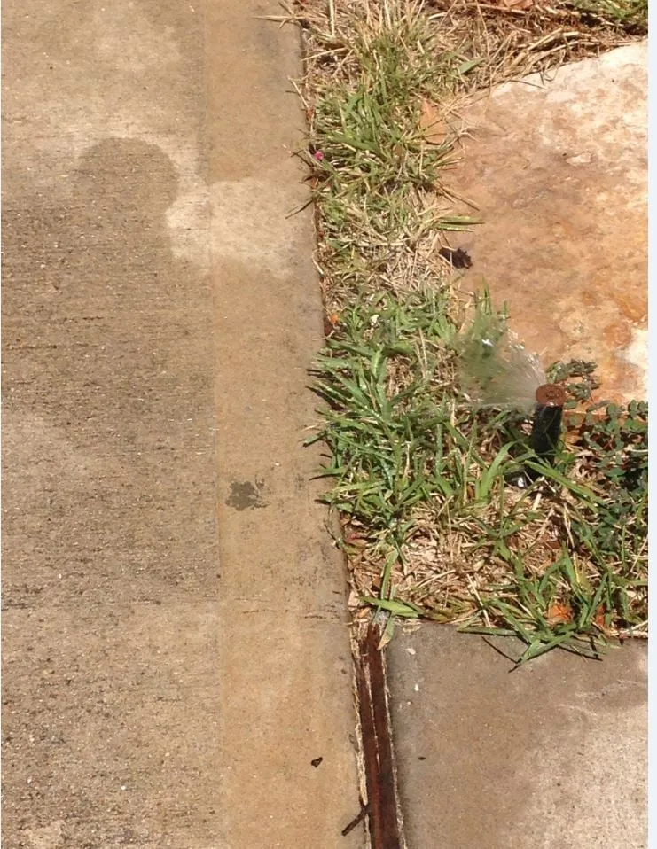 Professional yard cleanup service in Pflugerville, TX - Agua Irrigation