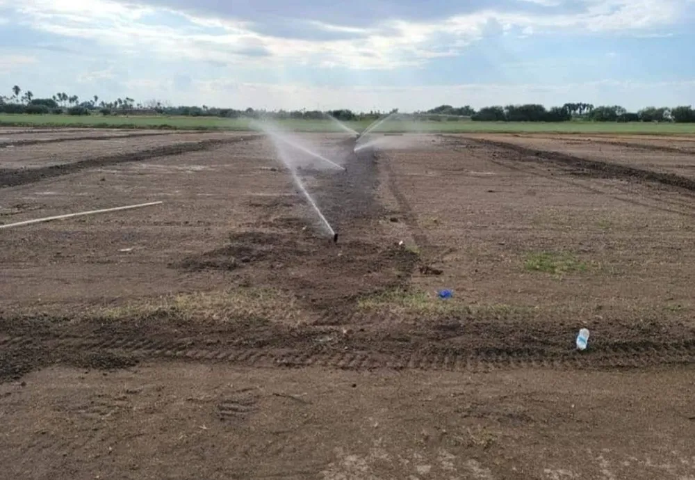 Expert landscape installation for year-round maintenance in Edinburg, TX by Aguapro Services