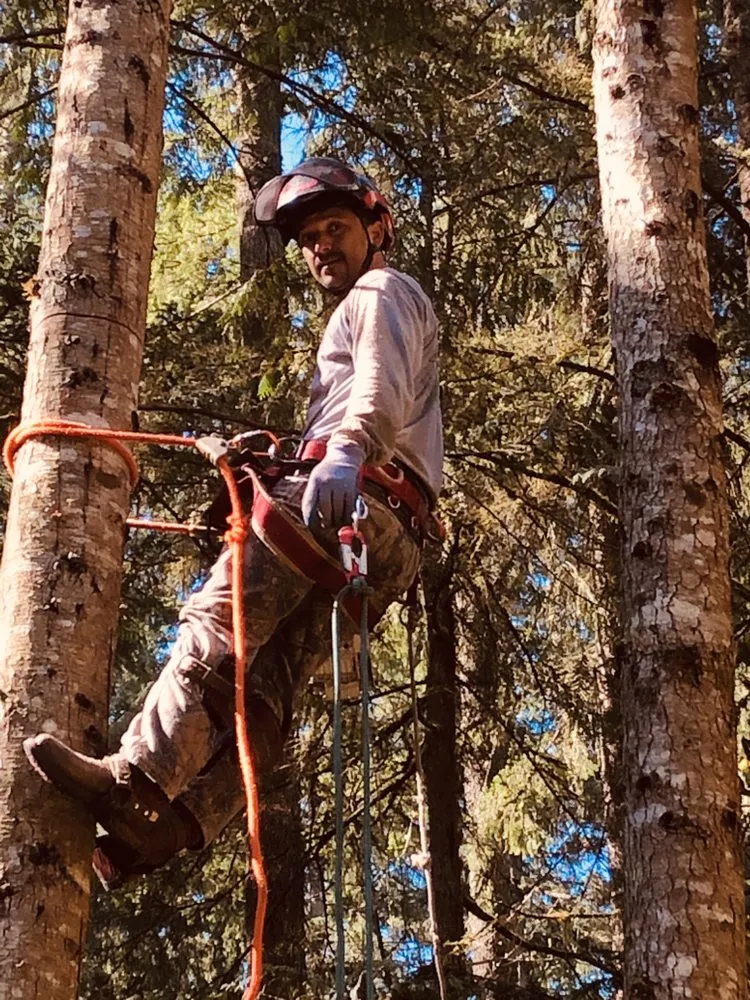 Local lawn mowing service experts serving Everett, WA - Aguayo General Contractor