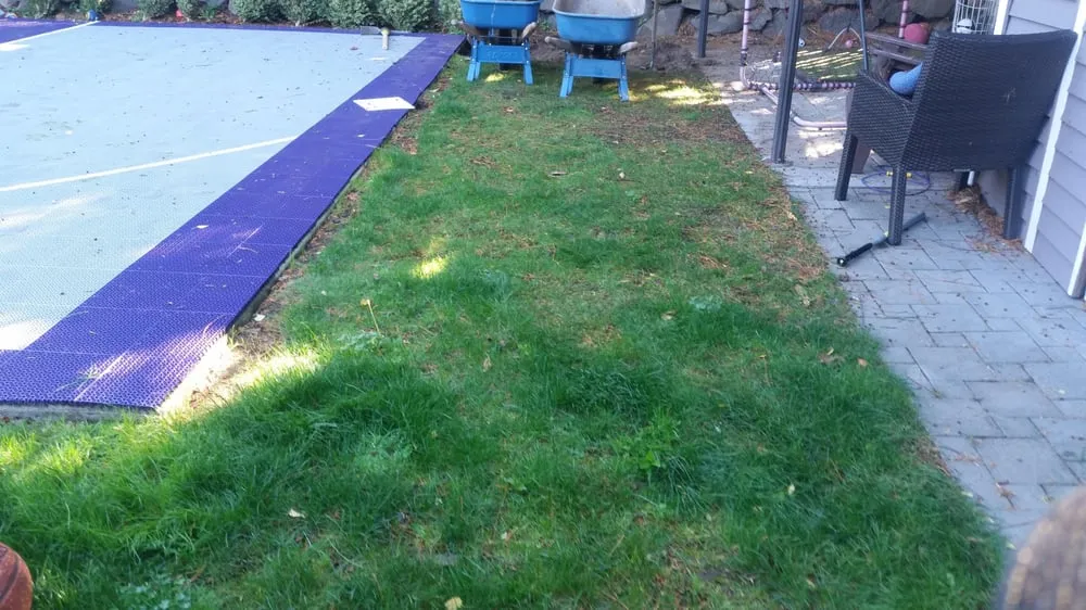 Reliable yard cleanup service in Shoreline, WA by Aguayo Professional Gardener