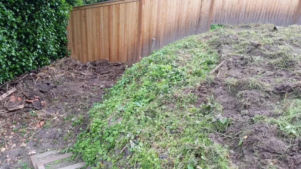 Affordable landscape installation in Shoreline, WA by Aguayo Professional Gardener