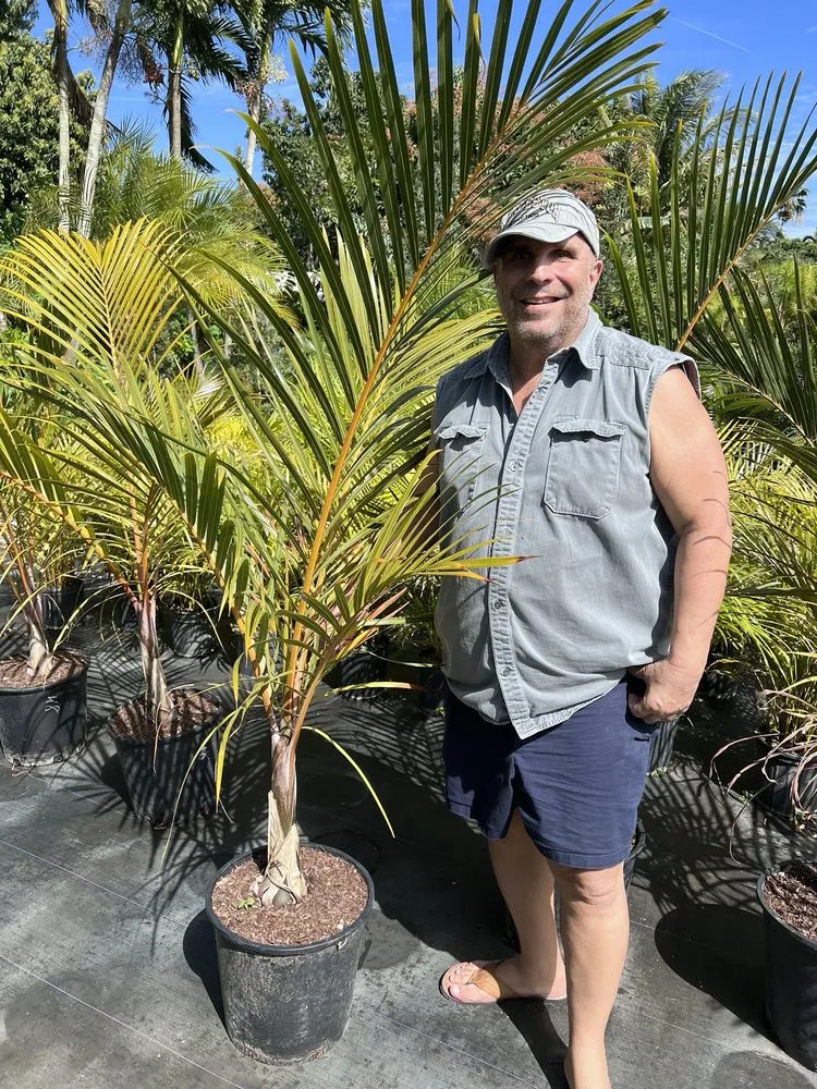 Professional landscape installation in Miami, FL - Aguazul Nursery