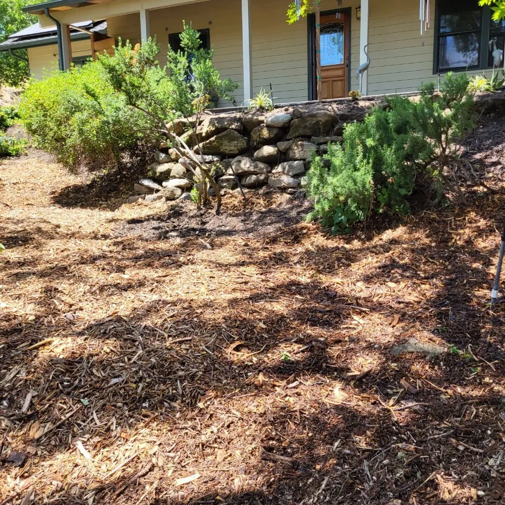 Reliable outdoor landscaping in Clovis, CA - Aguila GR Tree & Landscaping Service