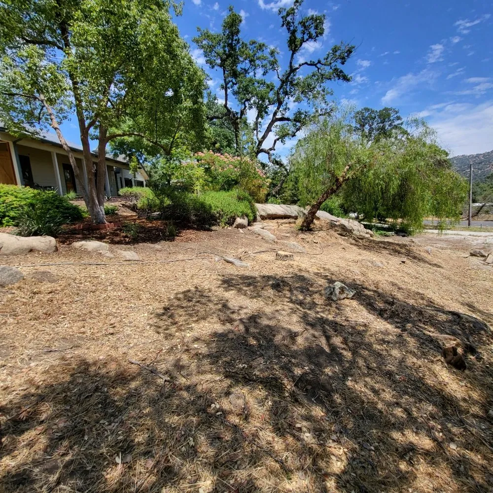 Trusted yard maintenance in Clovis, CA by Aguila GR Tree & Landscaping Service