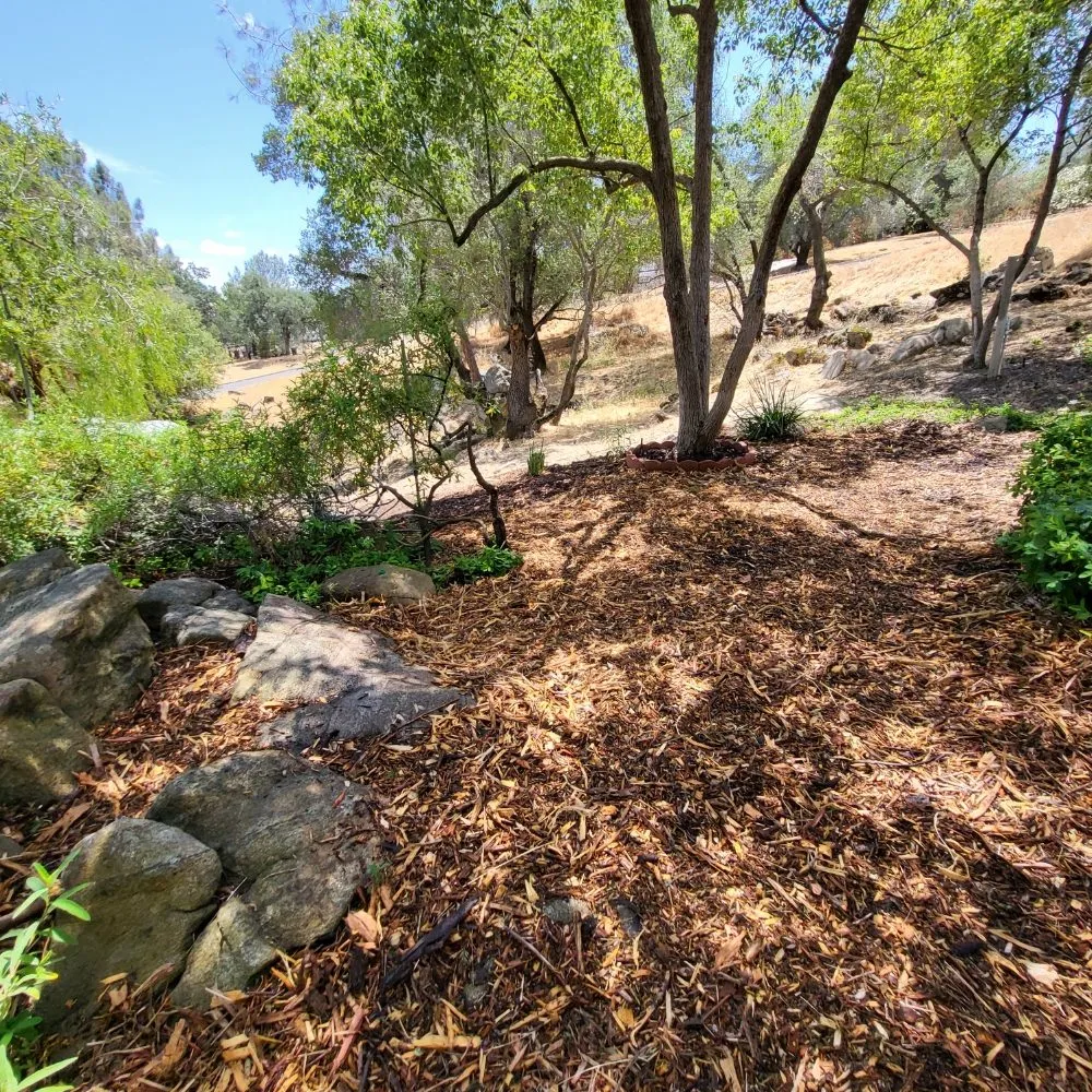 Trusted landscape design in Clovis, CA - Aguila GR Tree & Landscaping Service