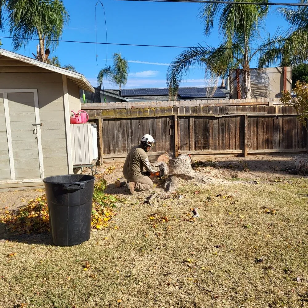 Expert landscape design in Clovis, CA - Aguila GR Tree & Landscaping Service