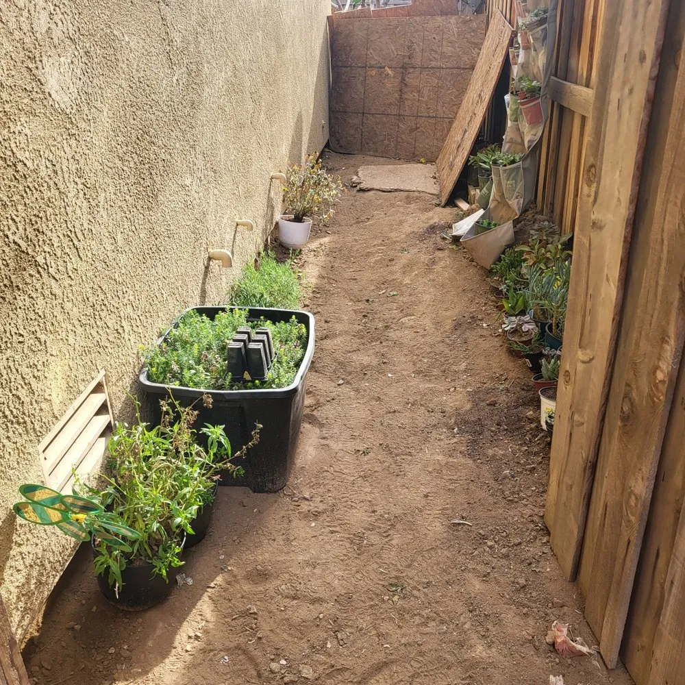 Custom yard maintenance experts serving Clovis, CA - Aguila GR Tree & Landscaping Service