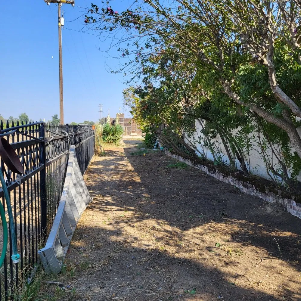 Expert landscaping services for year-round maintenance across Clovis, CA - Aguila GR Tree & Landscaping Service