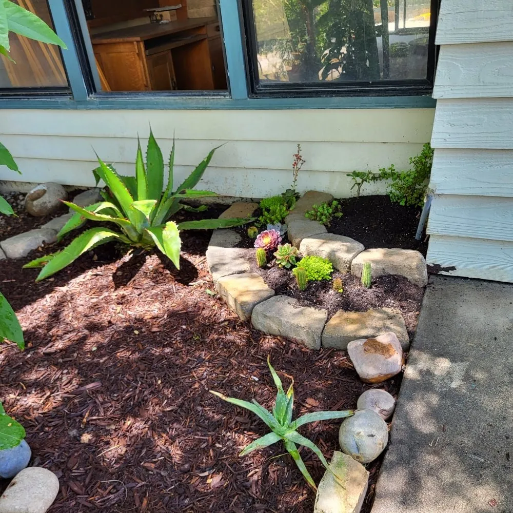 Custom yard maintenance for outdoor upgrades across Clovis, CA - Aguila GR Tree & Landscaping Service