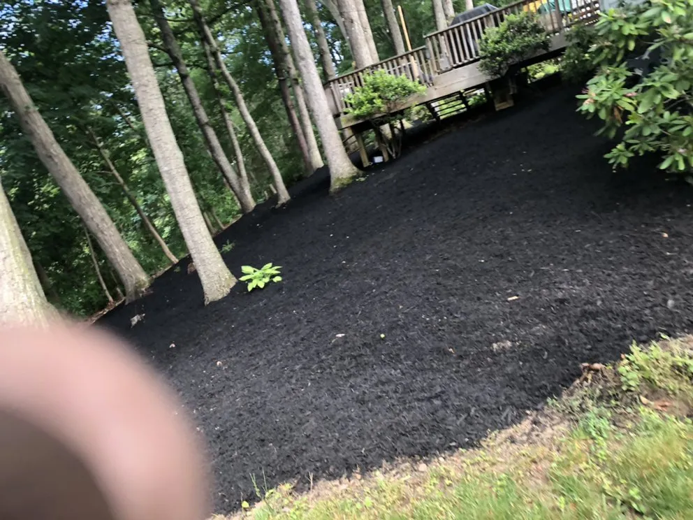 Custom lawn care service in Manassas, VA by Aguila Landscaping