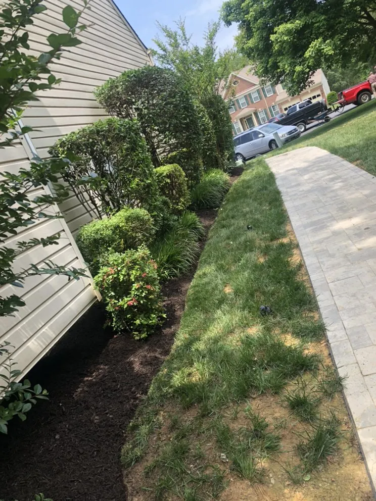 Reliable outdoor landscaping for beautiful yards in Manassas, VA by Aguila Landscaping