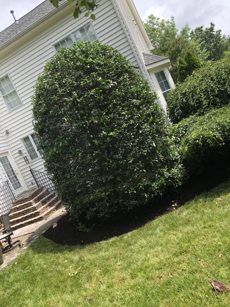 Expert lawn care service for year-round maintenance in Manassas, VA by Aguila Landscaping