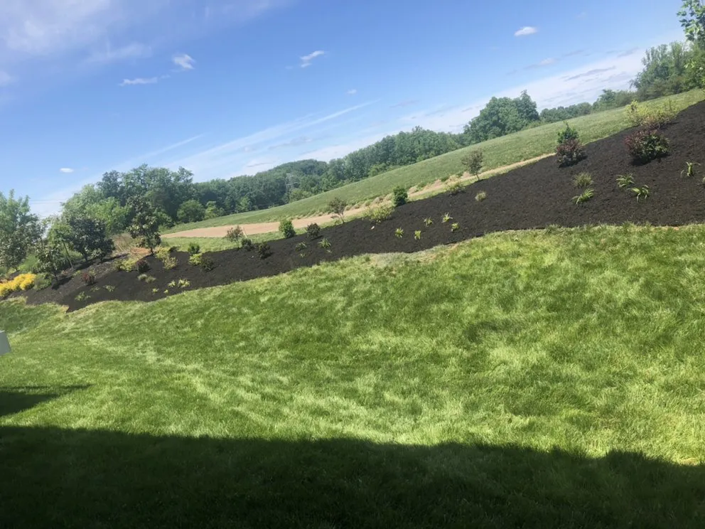 Top-rated landscape installation in Manassas, VA by Aguila Landscaping