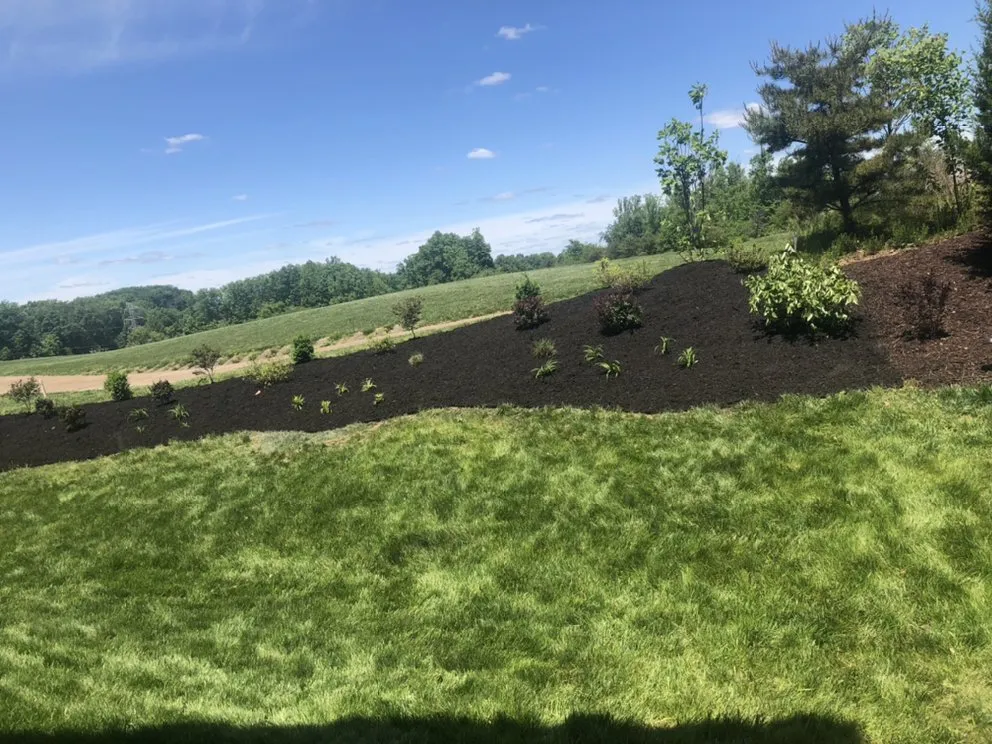 Affordable outdoor landscaping experts serving Manassas, VA - Aguila Landscaping