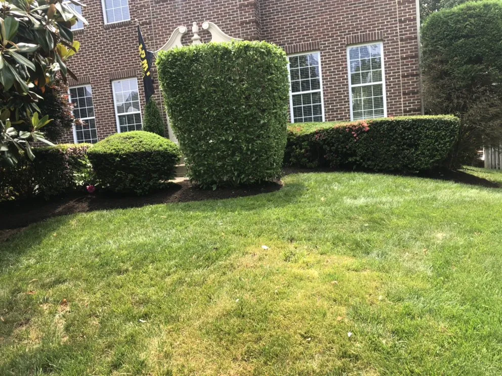 Expert residential landscaping in Manassas, VA by Aguila Landscaping