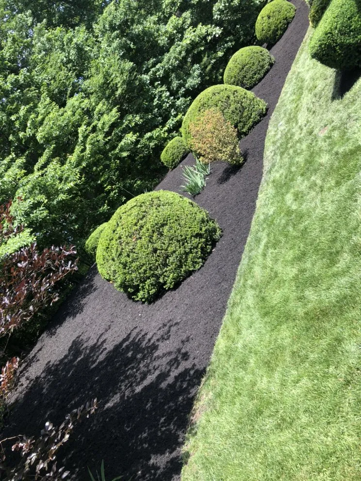 Local lawn care service experts serving Manassas, VA - Aguila Landscaping