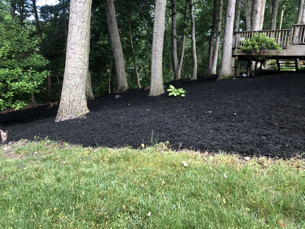 Trusted yard maintenance experts serving Manassas, VA - Aguila Landscaping