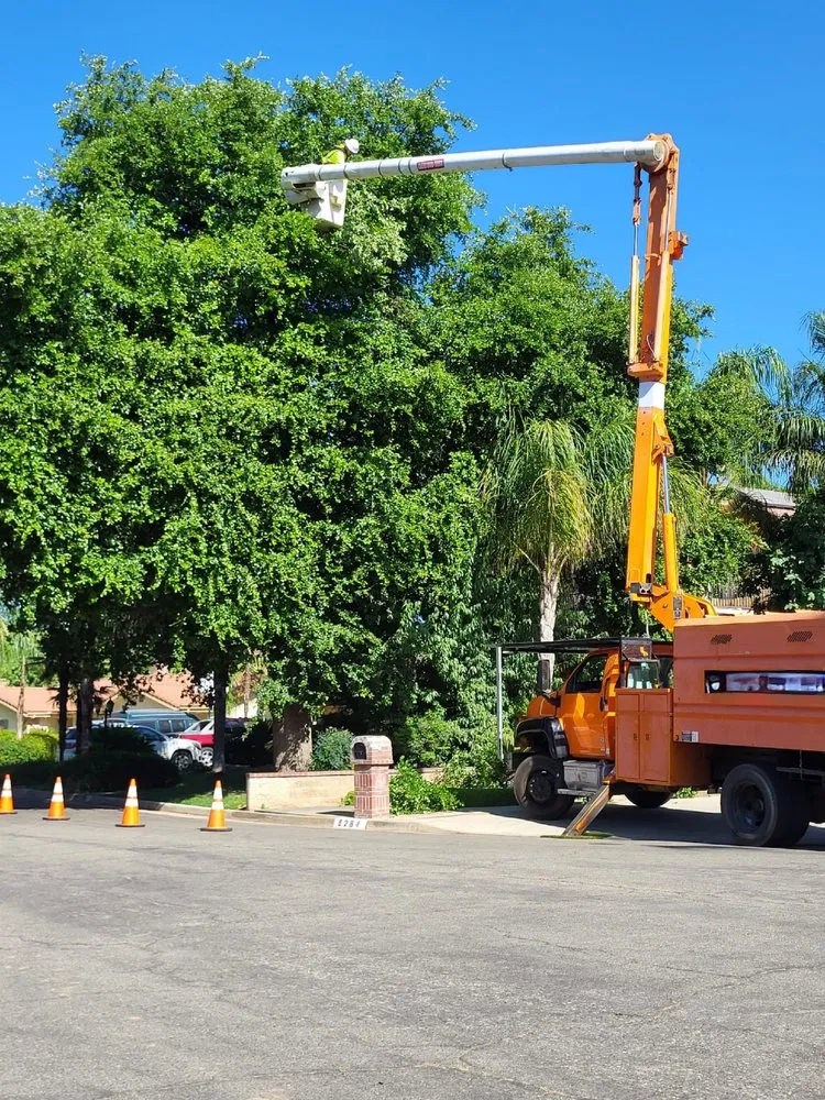 Custom lawn mowing service experts serving Clovis, CA - Aguila Tree Service