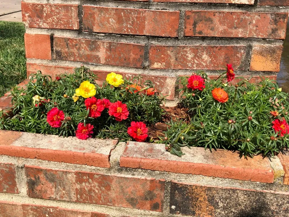 Affordable lawn care service experts serving Tulsa, OK - Aguilar Brothers Lawn & Landscape