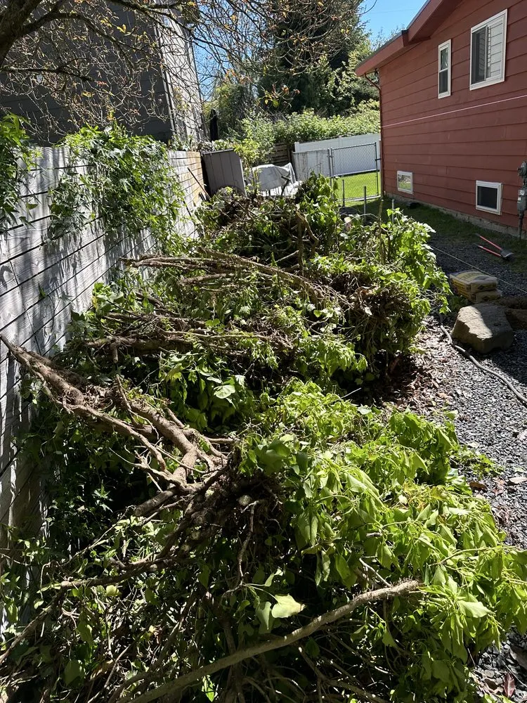 Local yard maintenance in Federal Way, WA by Aguilar General Landcaping