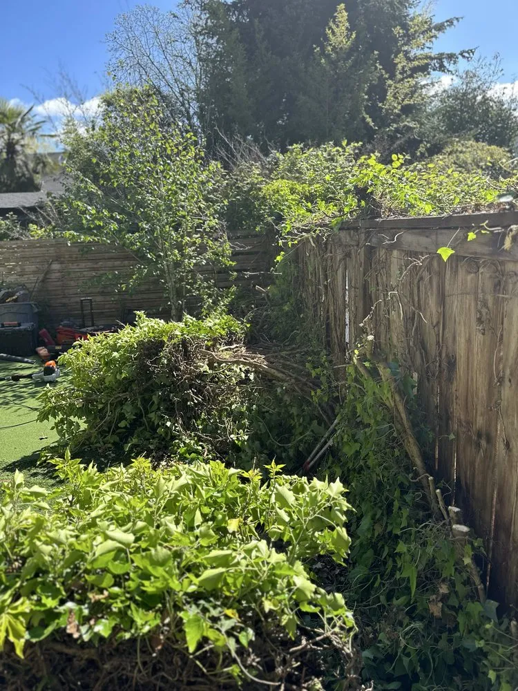 Top-rated residential landscaping experts serving Federal Way, WA - Aguilar General Landcaping