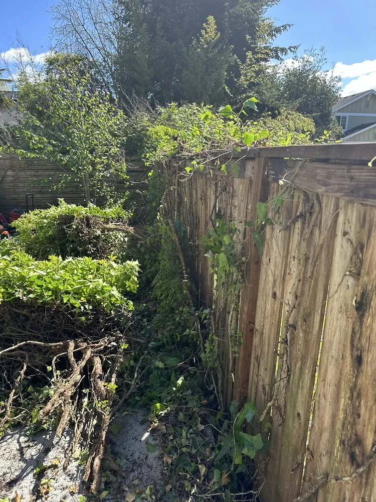 Local landscape design in Federal Way, WA - Aguilar General Landcaping