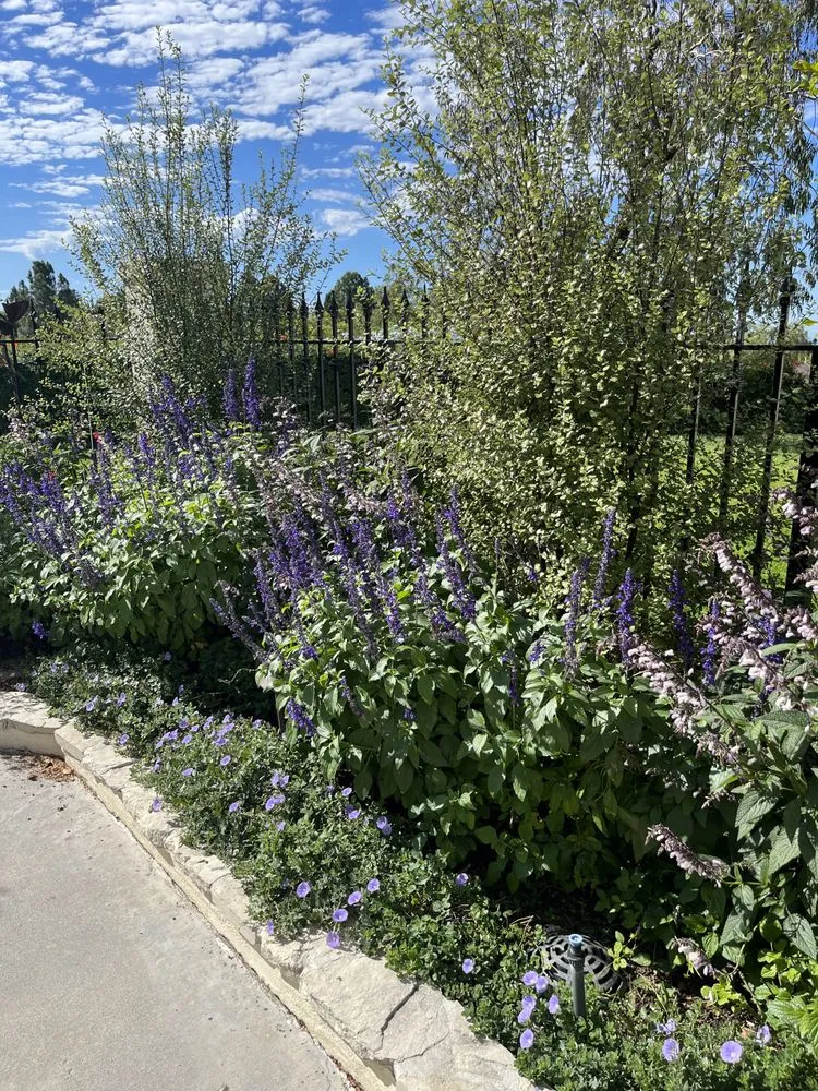 Trusted landscape design experts serving Rancho Palos Verdes, CA - Aguilar landscape