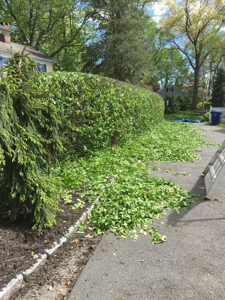 Professional lawn mowing service for year-round maintenance in Norwalk, CT by Aguilar Landscaping & Construction