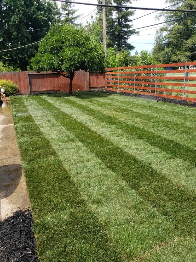 Expert yard maintenance experts serving Rancho Cordova, CA - Aguilar Landscaping & Maintenance