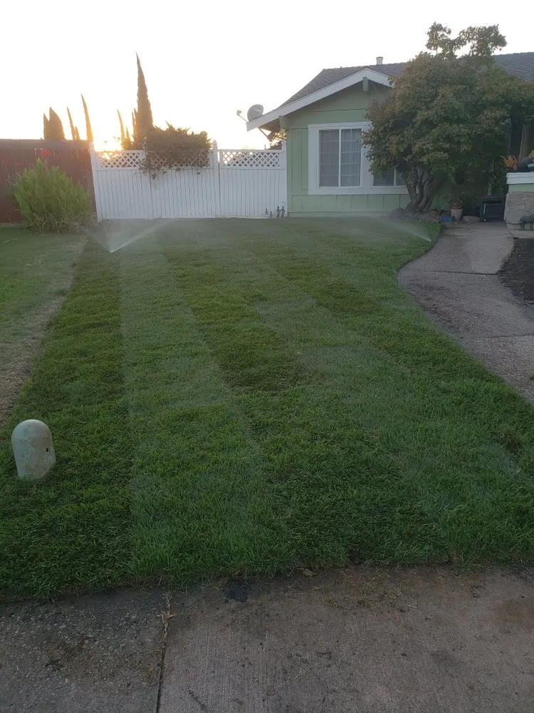 Local lawn care service experts serving Rancho Cordova, CA - Aguilar Landscaping & Maintenance