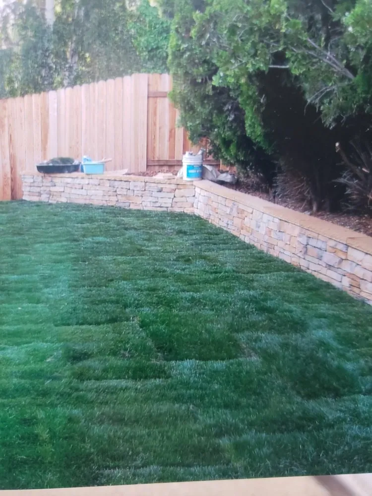 Expert residential landscaping for beautiful yards across Rancho Cordova, CA - Aguilar Landscaping & Maintenance