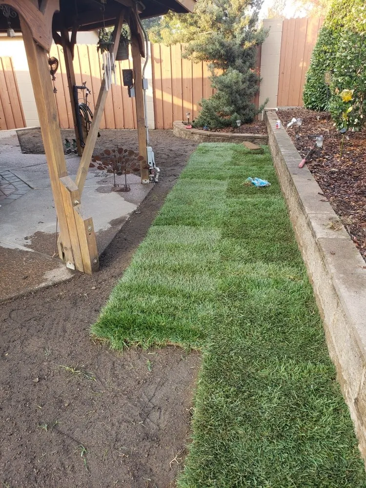 Custom lawn mowing service in Rancho Cordova, CA - Aguilar Landscaping & Maintenance