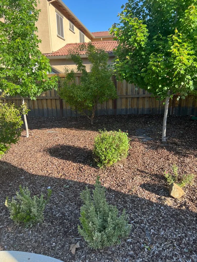 Custom outdoor landscaping in Rancho Cordova, CA by Aguilar Landscaping & Maintenance