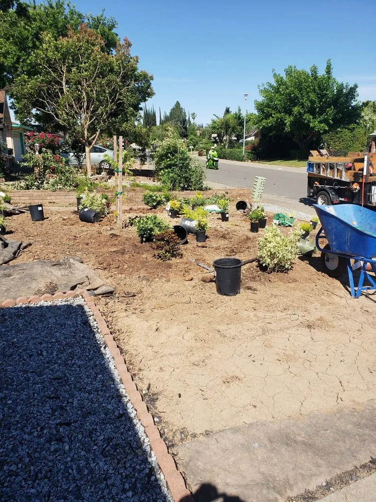 Custom lawn care service in Rancho Cordova, CA by Aguilar Landscaping & Maintenance