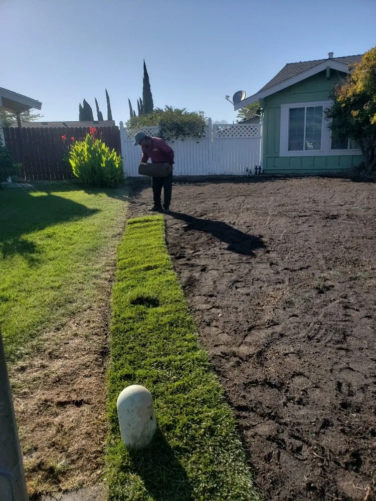 Expert outdoor landscaping in Rancho Cordova, CA - Aguilar Landscaping & Maintenance