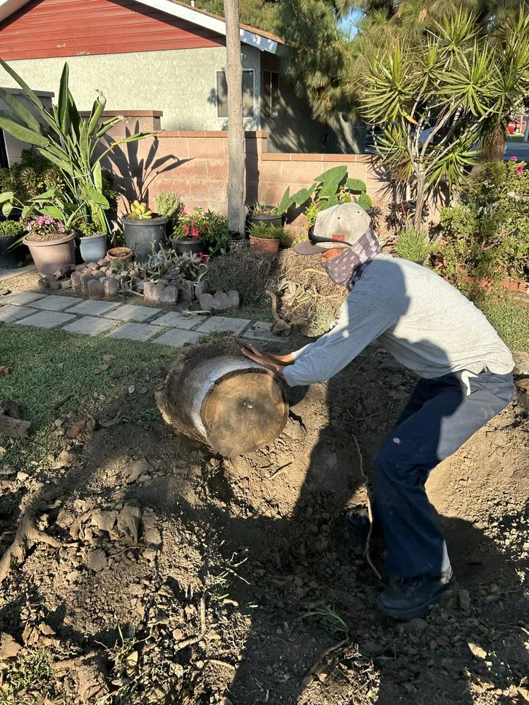 Trusted yard maintenance in Bell Gardens, CA by Aguilar Landscaping