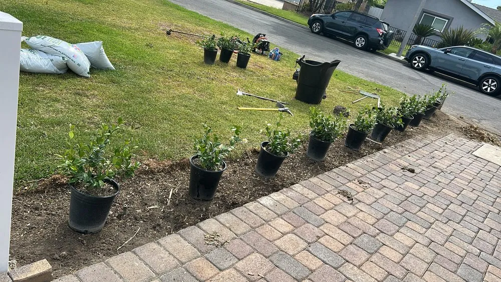 Top-rated lawn mowing service for outdoor upgrades in Bell Gardens, CA by Aguilar Landscaping