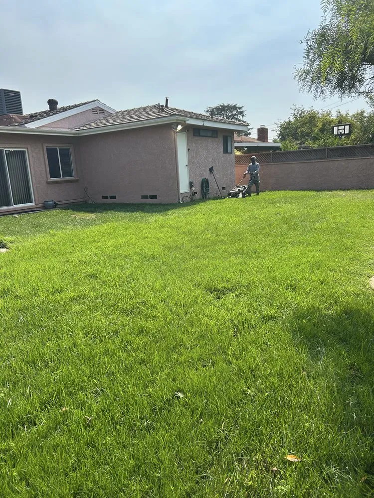 Professional landscape installation in Bell Gardens, CA - Aguilar Landscaping