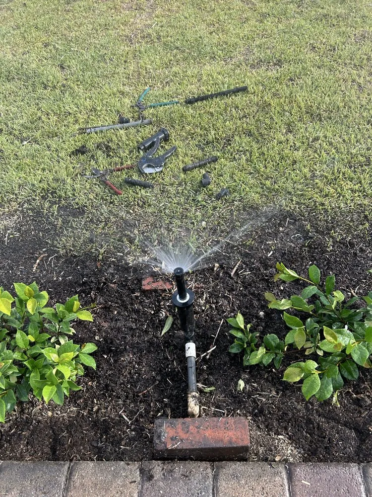 Professional residential landscaping in Bell Gardens, CA - Aguilar Landscaping