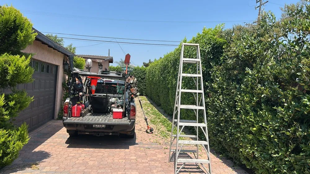 Expert landscaping services experts serving Bell Gardens, CA - Aguilar Landscaping