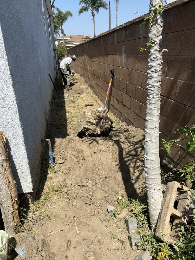 Affordable lawn mowing service experts serving Bell Gardens, CA - Aguilar Landscaping