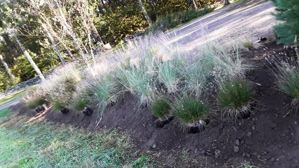 Reliable lawn care service near you in Bridgeport, CT by Aguilar Landscaping