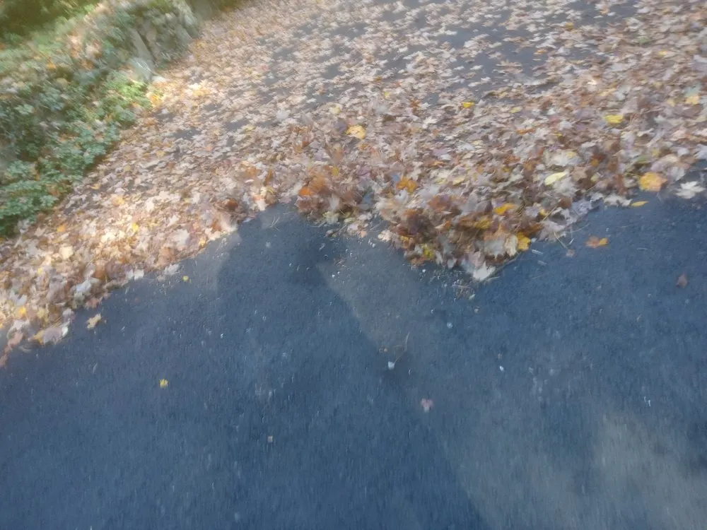 Expert lawn mowing service near you in Bridgeport, CT by Aguilar Landscaping