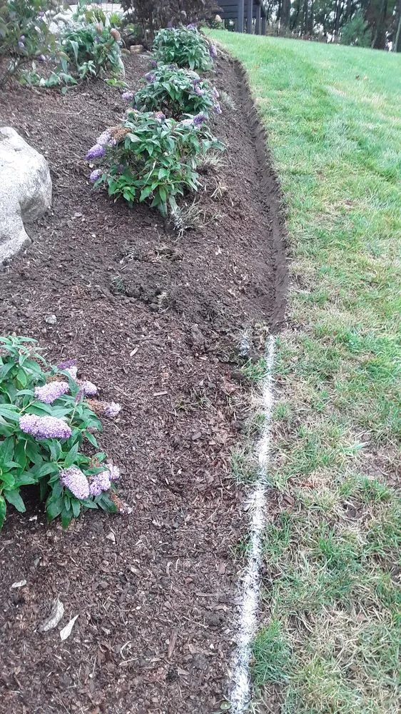 Local landscape installation in Bridgeport, CT - Aguilar Landscaping