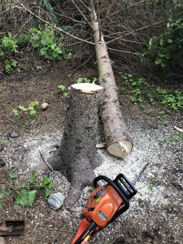 Trusted garden landscaping for beautiful yards in Bridgeport, CT by Aguilar Landscaping